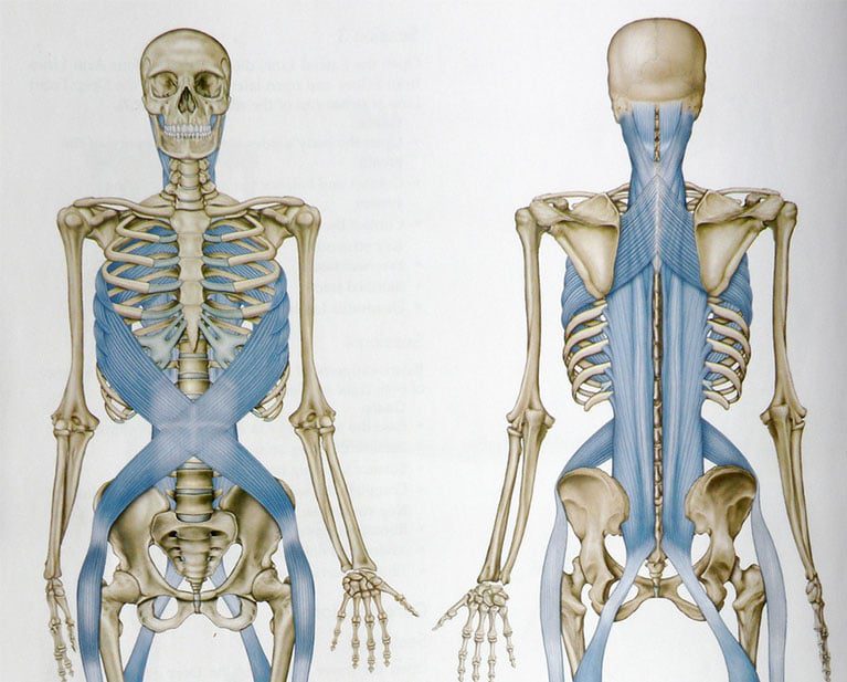 What is Fascia?