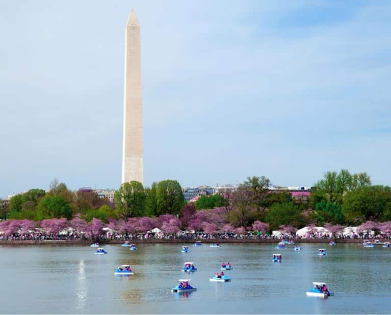 Summer Activities Stay Active DC