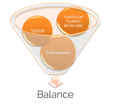 3 Parts of Balance