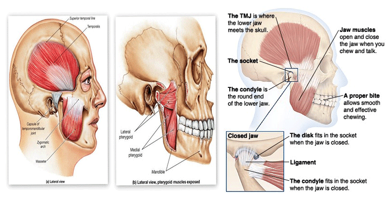 TMJ Physical Therapy Exercises